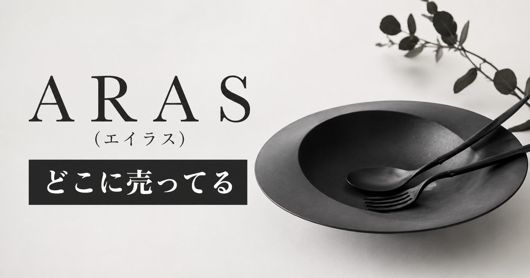 ARAS エイラス