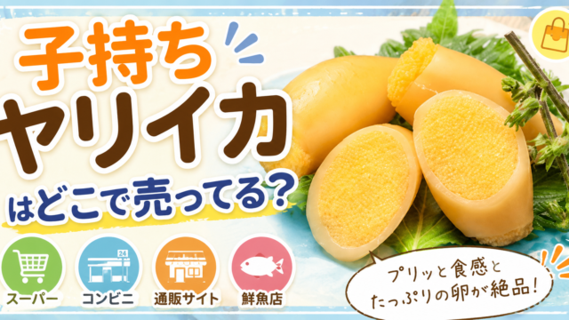 子持ちヤリイカはどこで売ってる？