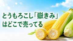 とうもろこし 嶽きみはどこで売ってる？