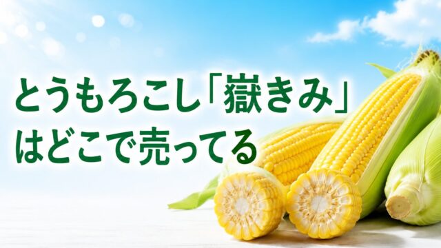 とうもろこし 嶽きみはどこで売ってる？