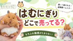 はむにぎりはどこで売ってる？