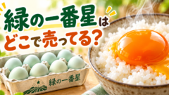 緑の一番星はどこで売ってる？