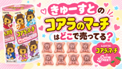 きゅーすとのコアラのマーチはどこで売ってる？